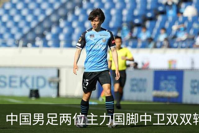 中国男足两位主力国脚中卫双双转会山东足坛，新赛季挑起重担引关注